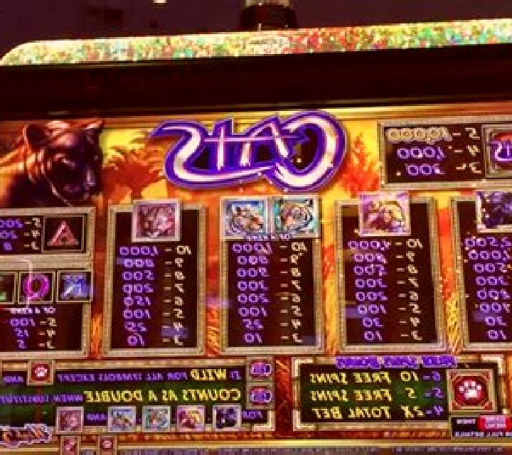 Hungry Cats slot machine