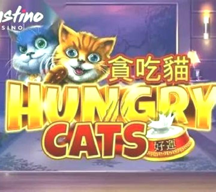 Hungry Cats slot