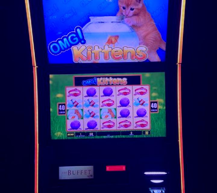 I Love Kittens slot machine