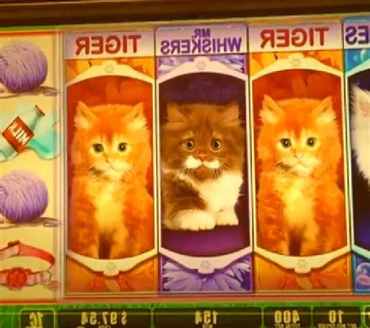 I Love Kittens slot