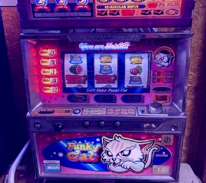 I m A Cat slot machine