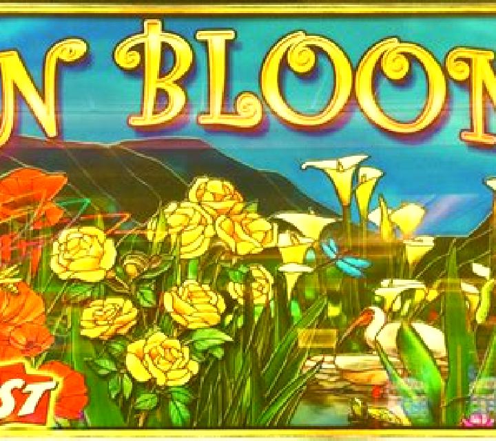 In Bloom slot game