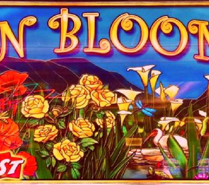 In Bloom slot machine