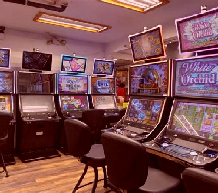 Instant Bingo (Rival Gaming) slot game