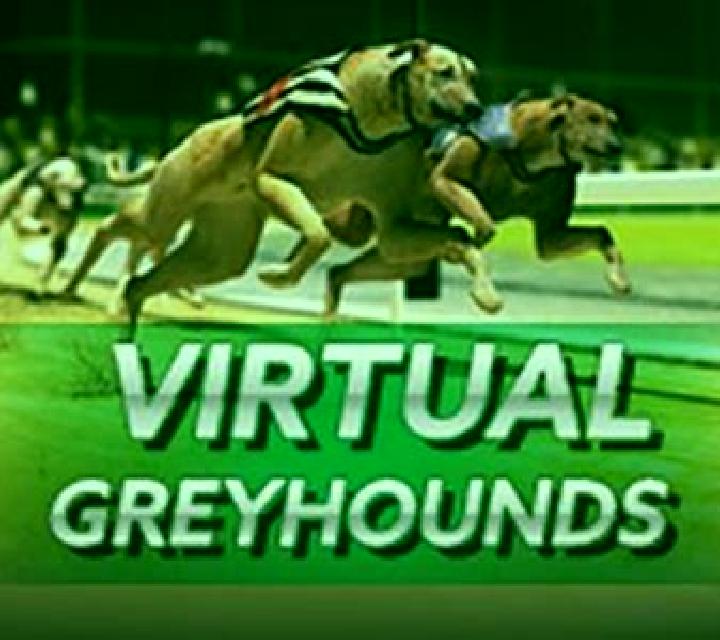 Instant Virtual Greyhounds slot game