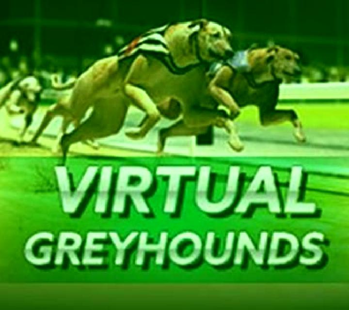 Instant Virtual Greyhounds slot machine