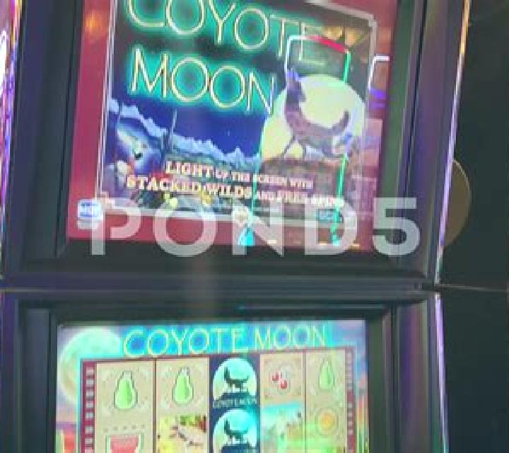 It Came From The Moon online slot