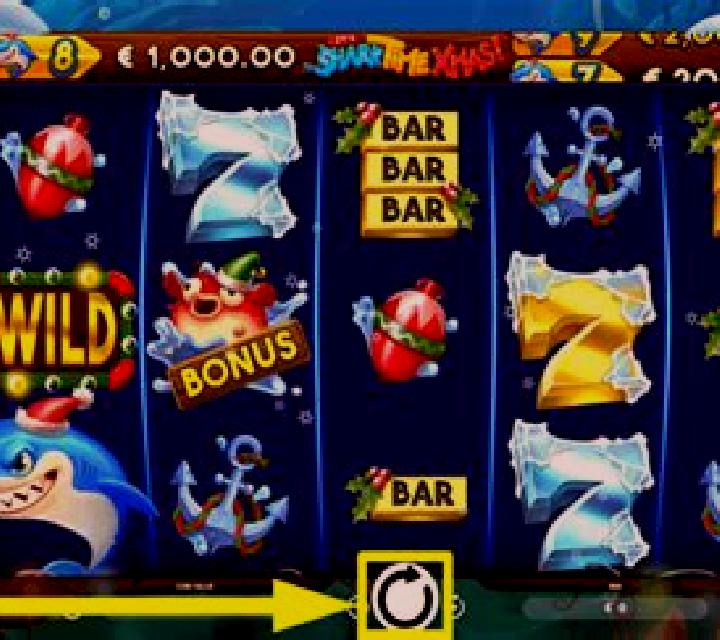 It s Shark Time Xmas slot