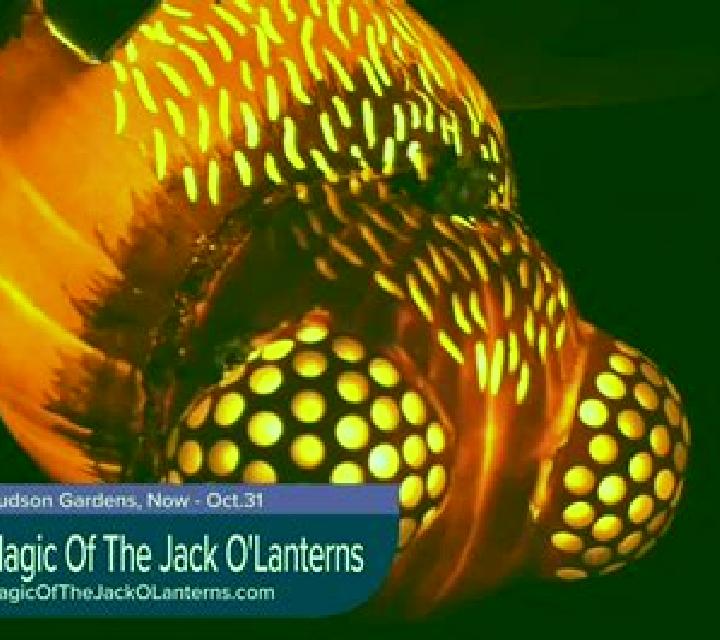 Jack o Lantern s Mystery Mirrors slot machine