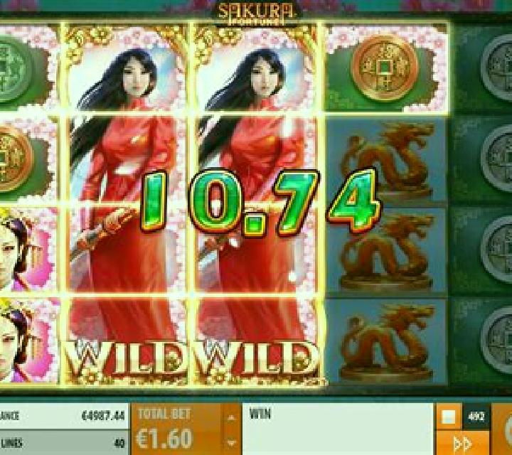 Japan Fortune slot game