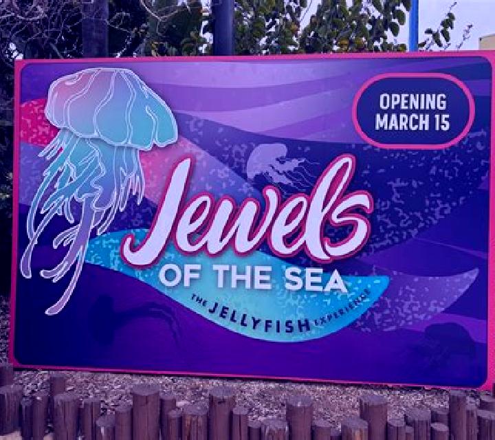 Jewels of the sea slot game