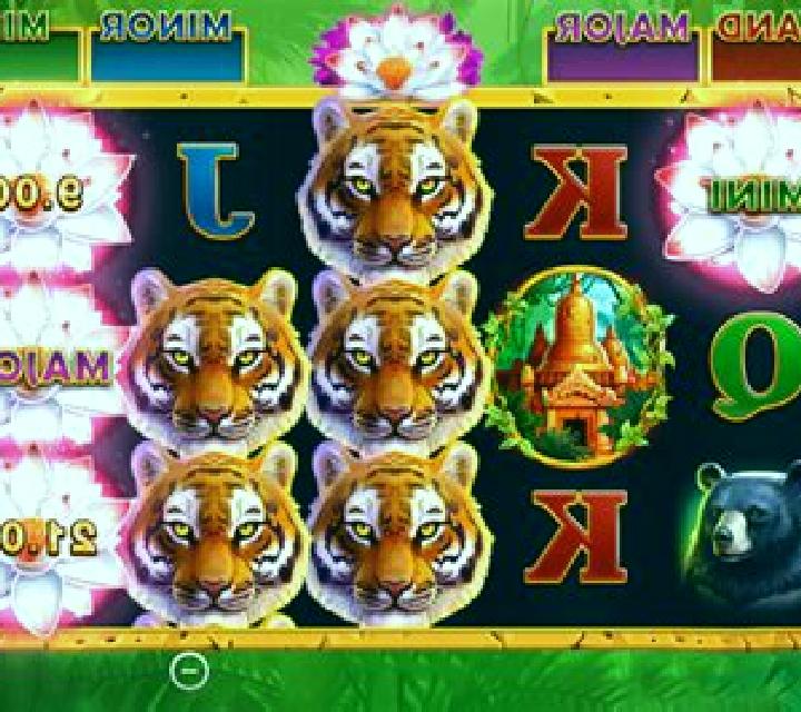 Jr. Jungle slot game