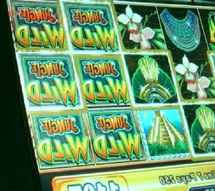 Jr. Jungle slot machine