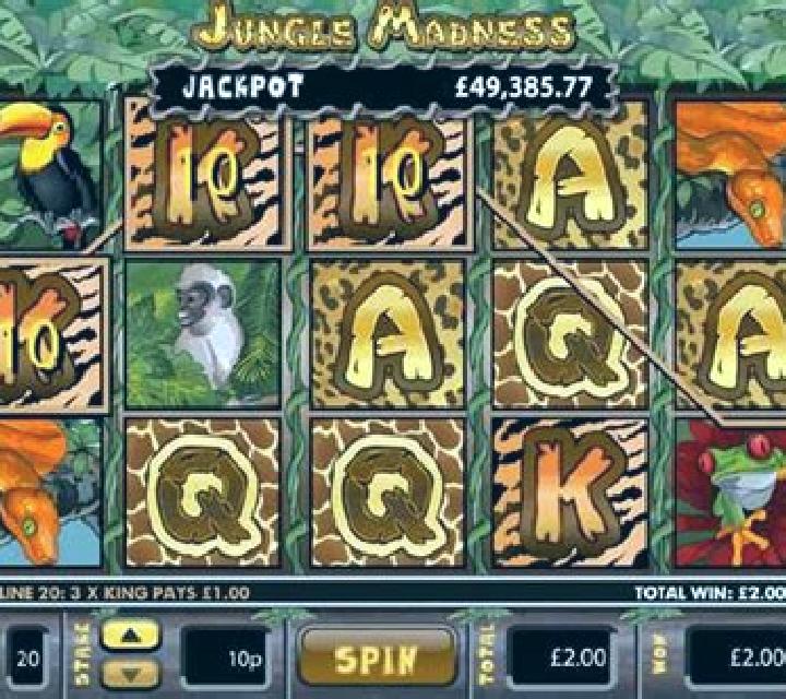 Jungle Madness slot game