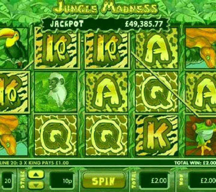 Jungle Madness slot machine