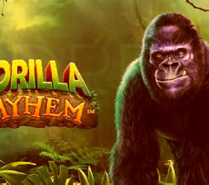 Jungle Mayhem slot machine
