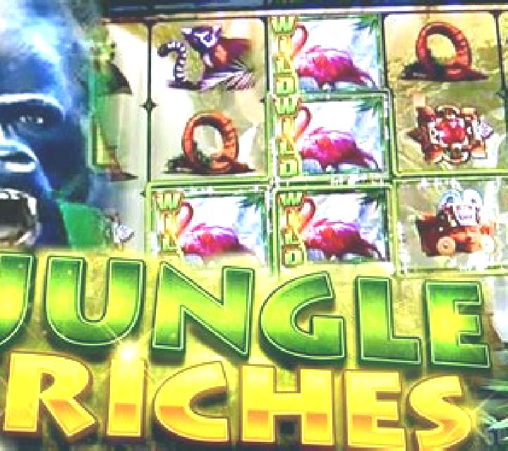 Jungle Riches slot machine