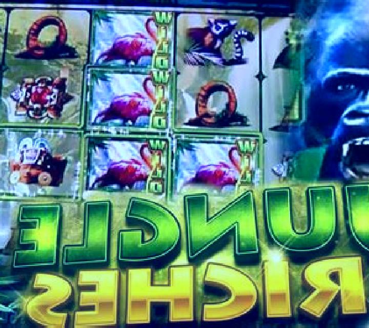 Jungle Riches slot