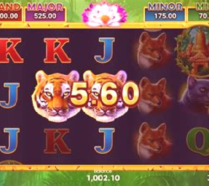 Jungle Wealth Hold And Win online slot