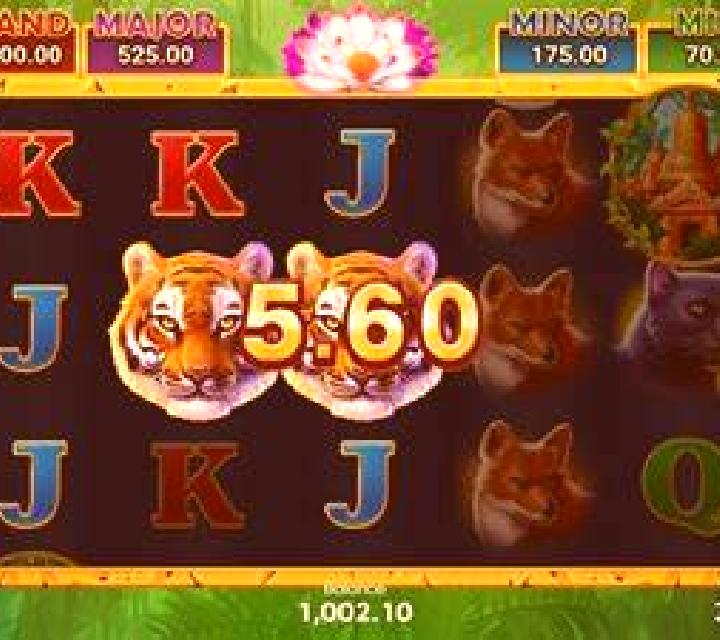 Jungle Wealth Hold And Win slot game
