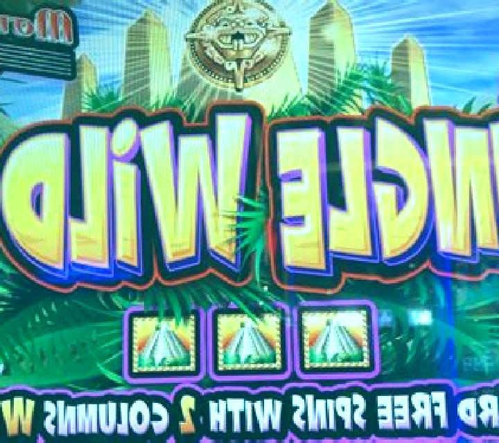 Jungle Wild II slot game