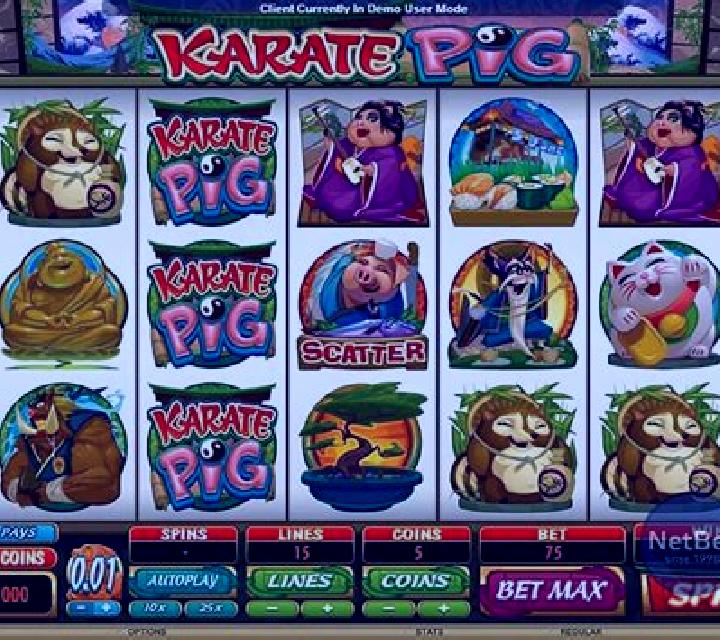 Karate Pig slot machine