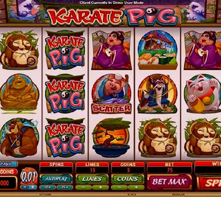 Karate Pig slot