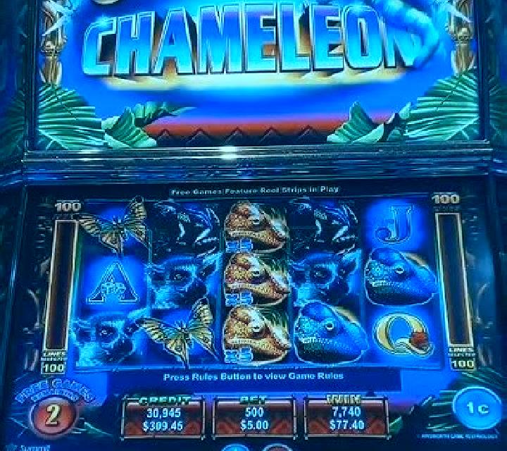 King Chameleon slot machine