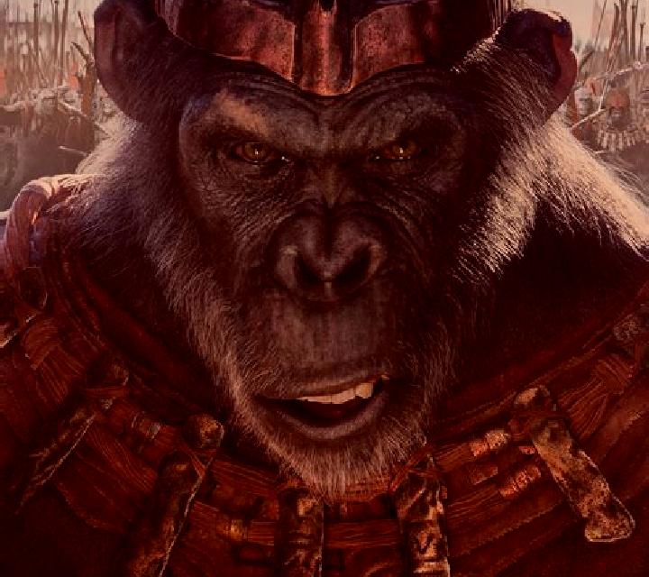 King of Apes online slot