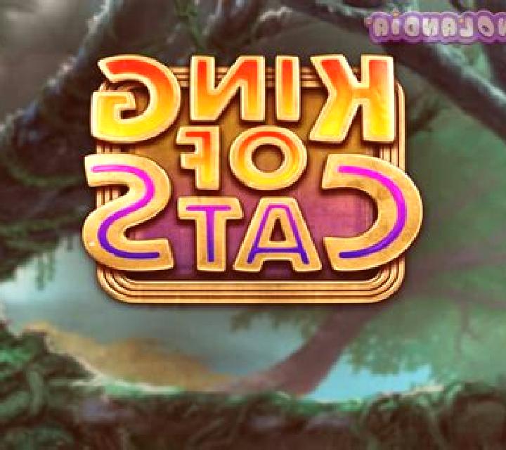 King of Cats slot game