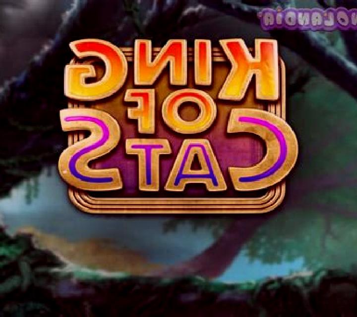 King of Cats slot