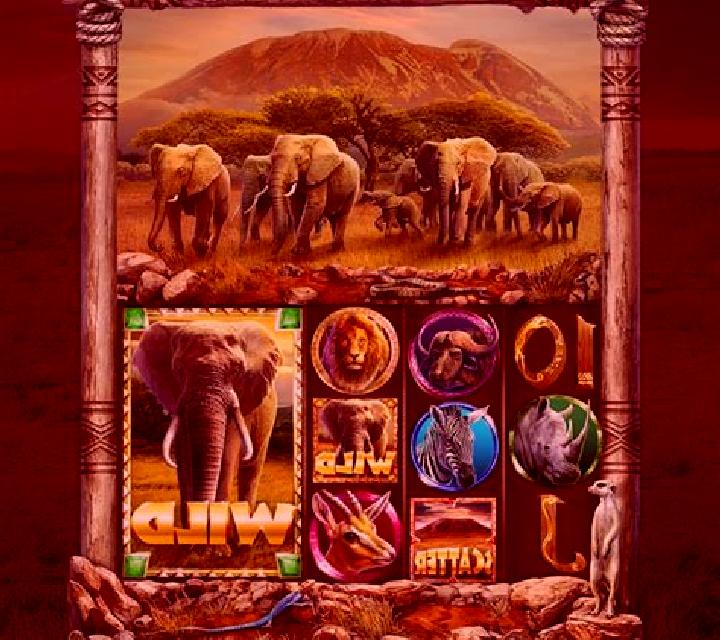 King of Safari online slot