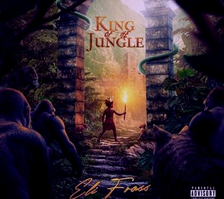 King of the Jungle GDN online slot