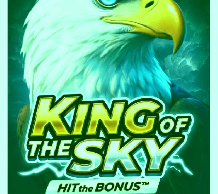 King of the Sky: Hit the Bonus slot game