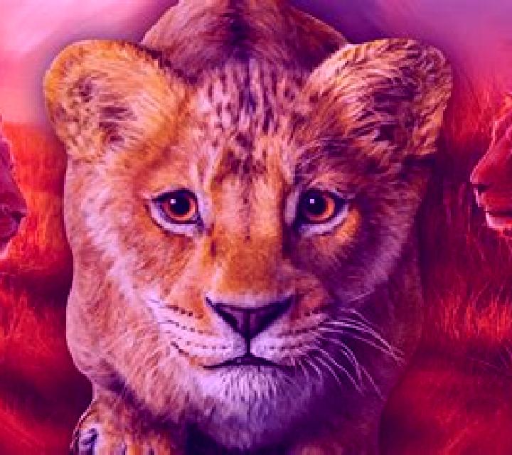 King The Lion Heart SA slot game