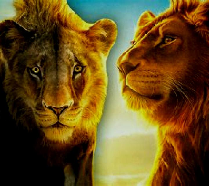 King The Lion Heart SA slot machine
