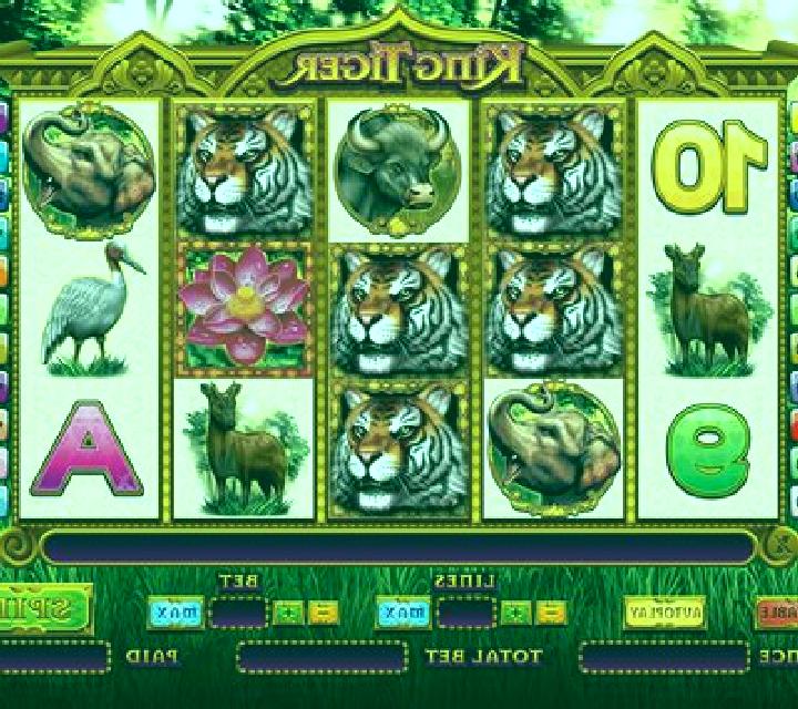 King Tiger slot