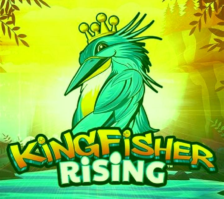 Kingfisher on Wheels online slot