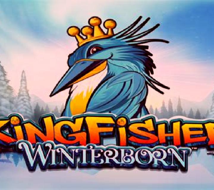 Kingfisher Winterborn slot