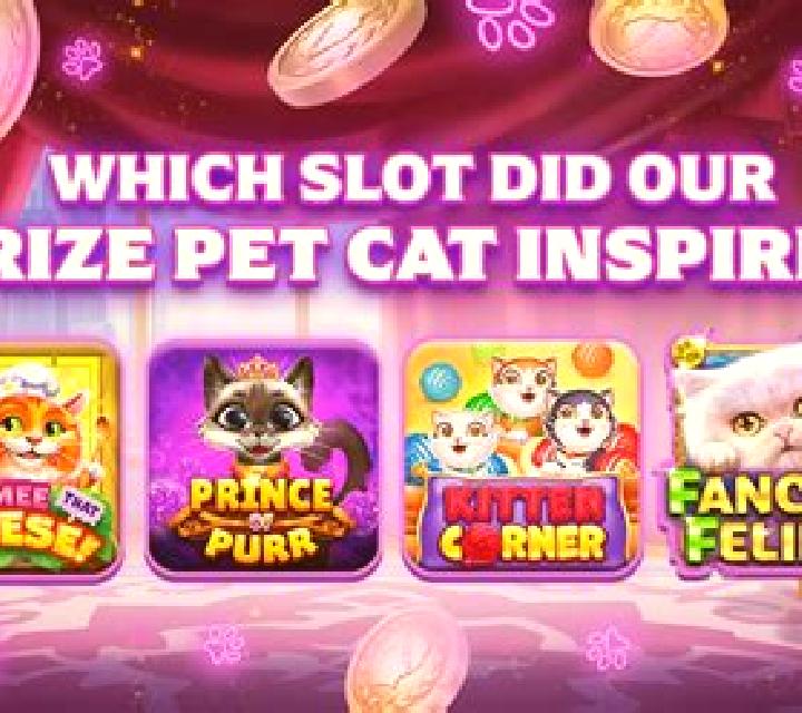 Kitten Pult slot game