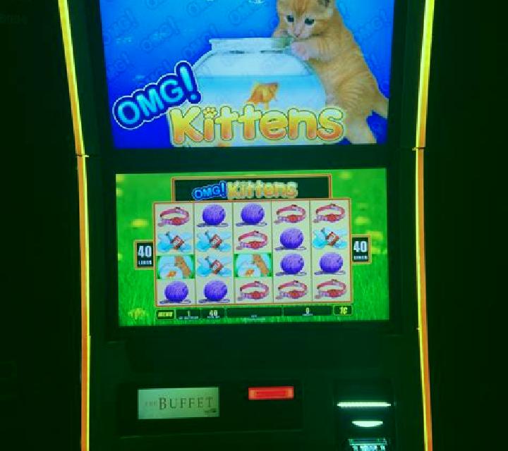 Kitten’s Playroom slot machine
