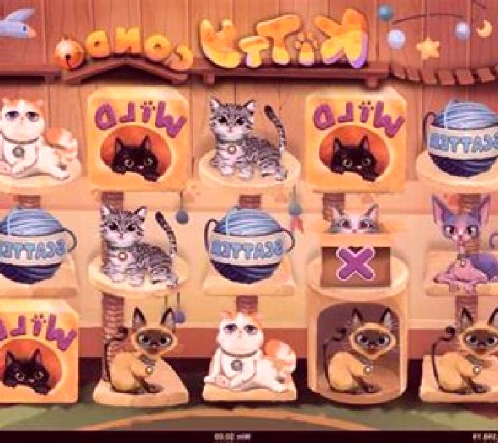 Kitty Condo slot