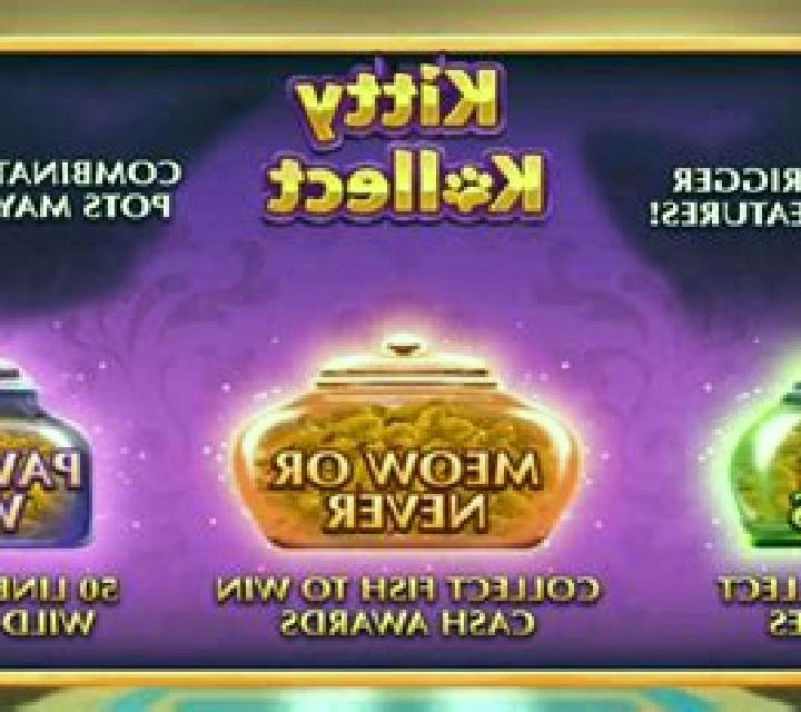 Kitty Kollect slot game
