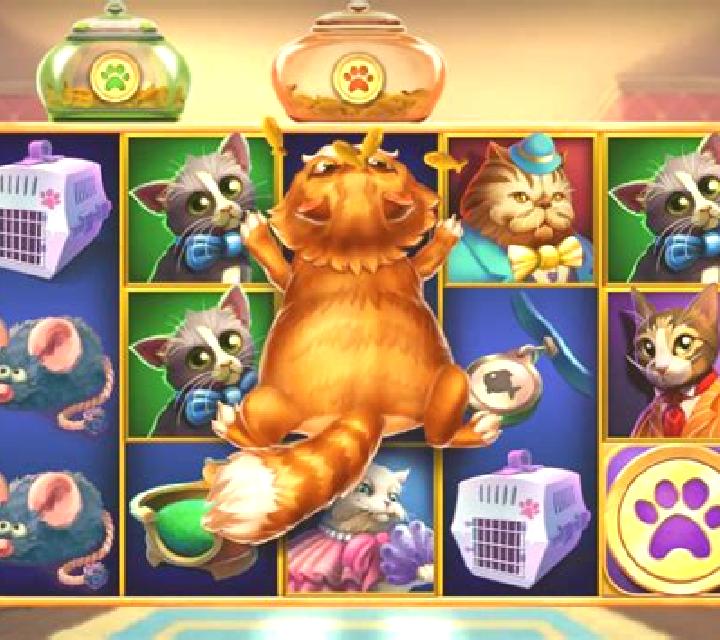 Kitty Kollect slot