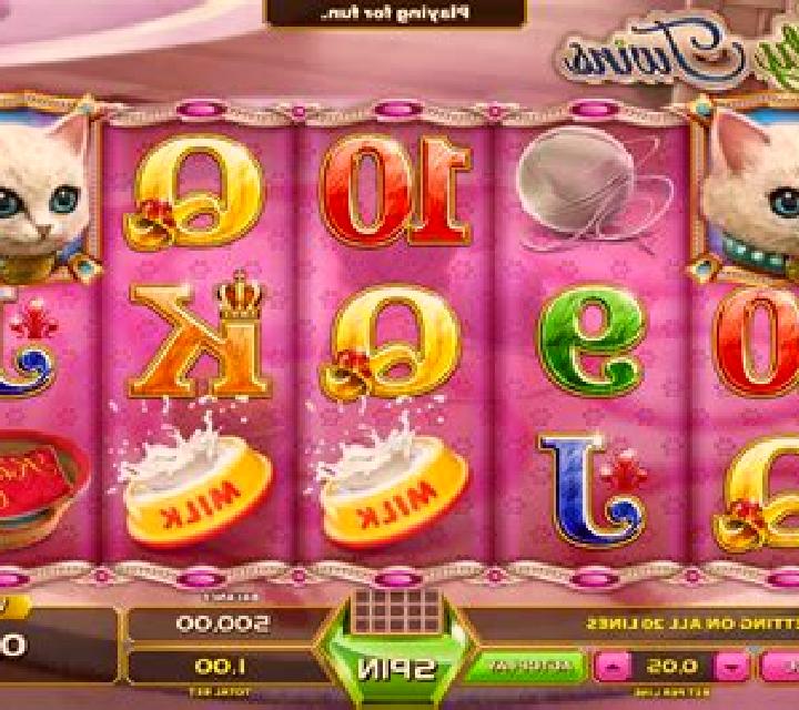 Kitty Twins slot game