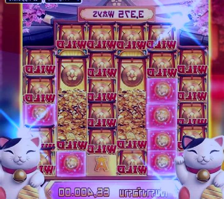 Kitty Wild online slot