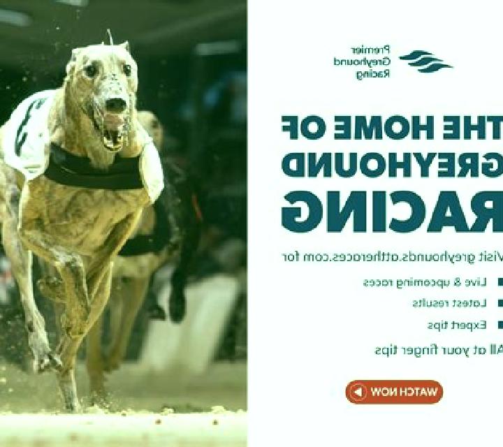 KM Virtual Greyhound Racing online slot