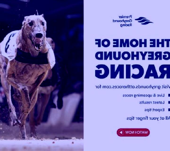 KM Virtual Greyhound Racing slot