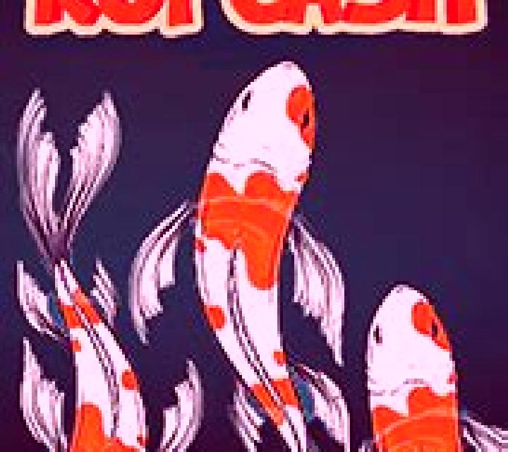 Koi Cash slot game