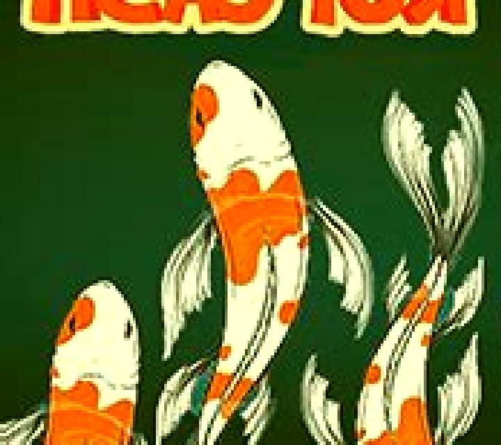 Koi Cash slot